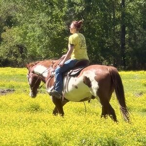 Meet your Posher, Rachael